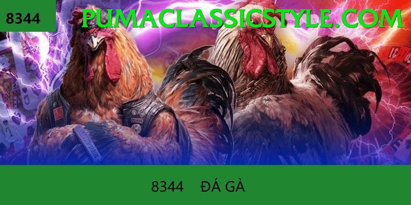 Đá Gà Trực Tiếp - good88